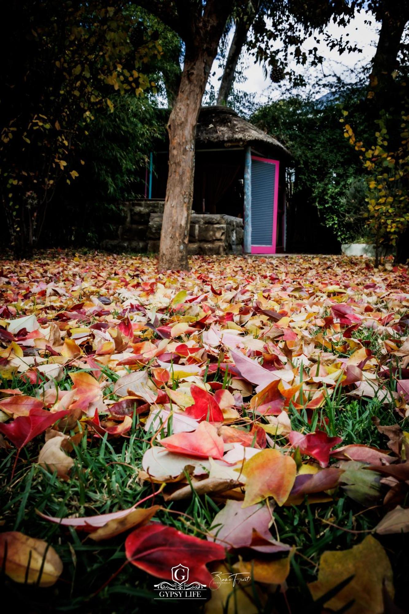 Gypsy Guest House Clarens Exterior foto